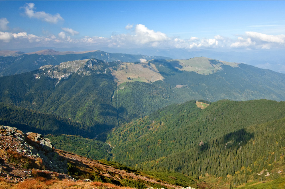 www.casabucureasa.ro - atractii turistice - Tarnov Capatanii